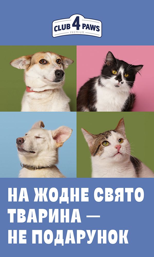 An animal is not a gift for any holiday