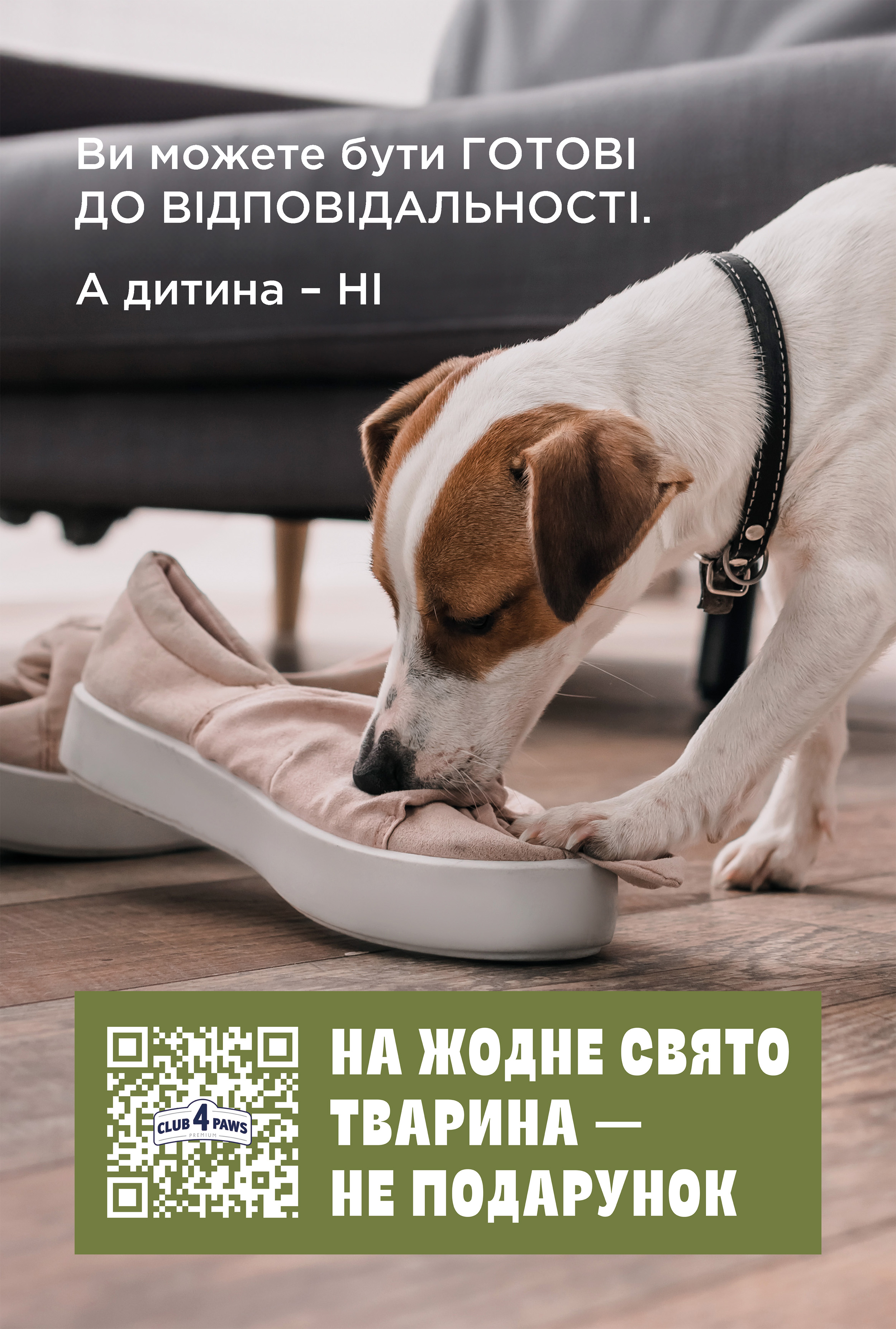 An animal is not a gift for any holiday