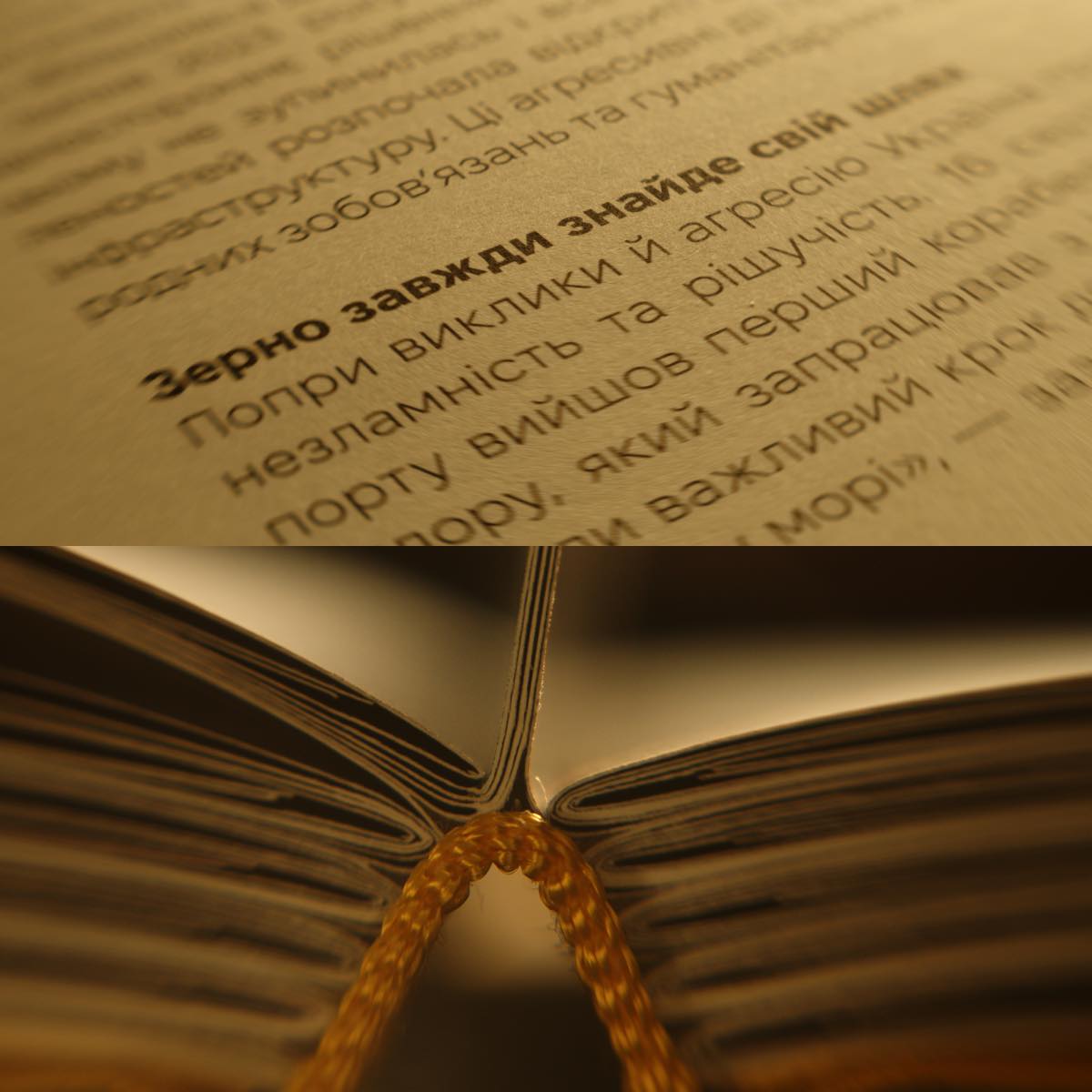 <strong>The Path of Grain</strong>