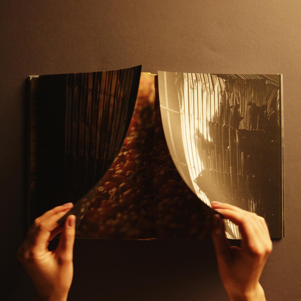 <strong>The Path of Grain</strong>